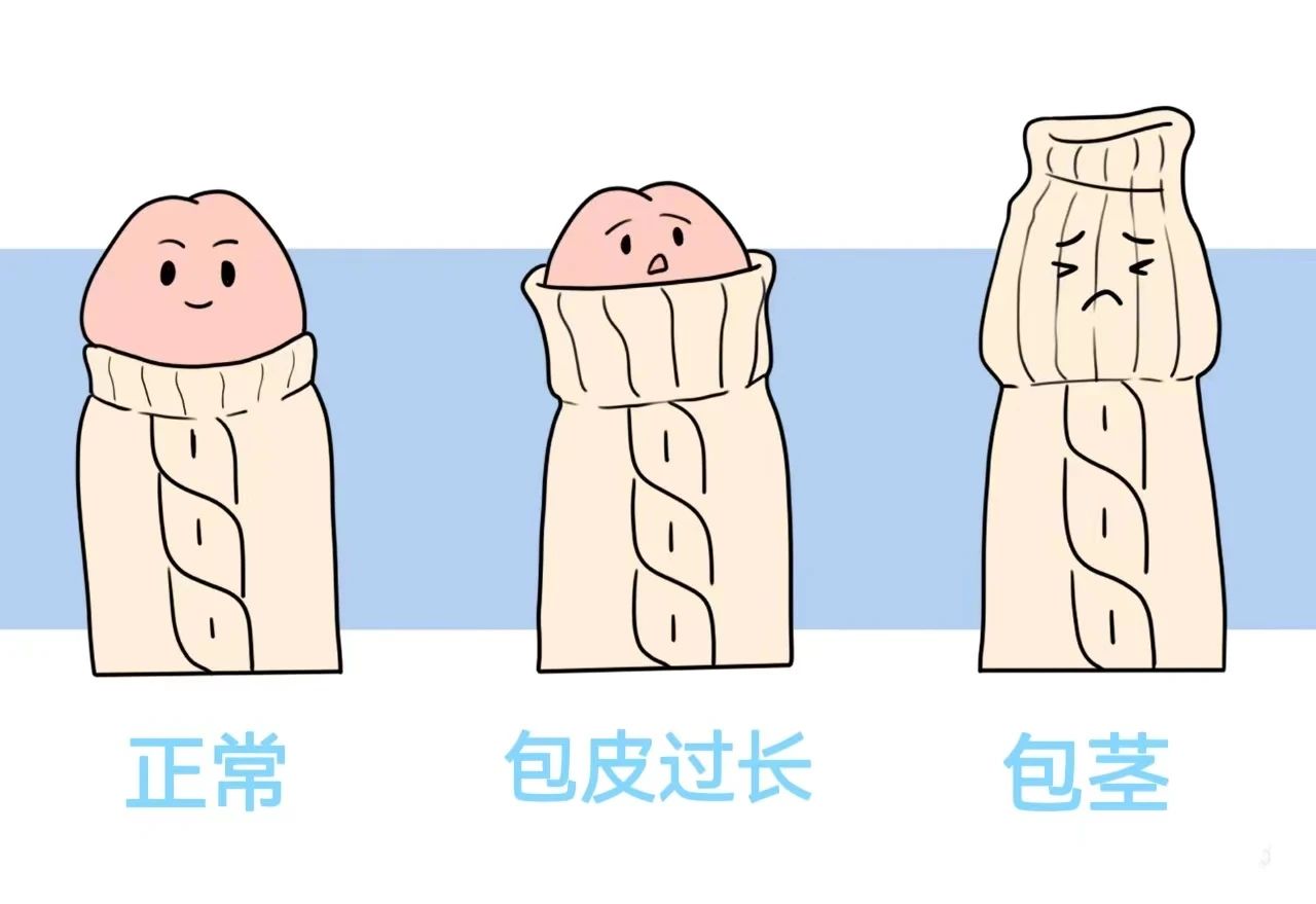 a5a50b9a60046987077df96a5a34c23d.jpg